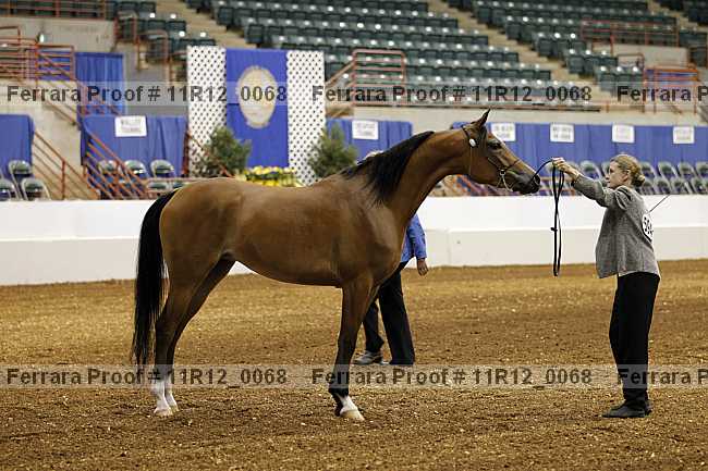 Proof 11r12_0068