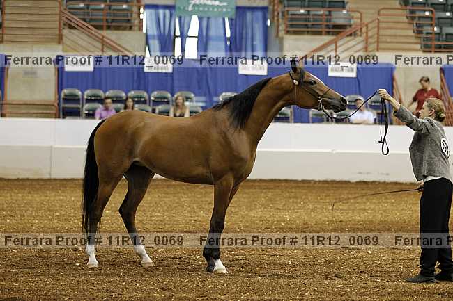 Proof 11r12_0069