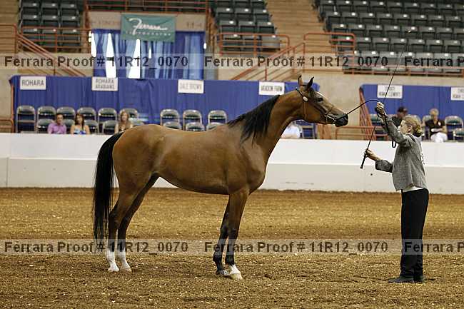 Proof 11r12_0070