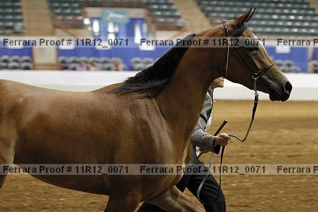 Proof 11r12_0071