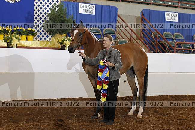 Proof 11r12_0072
