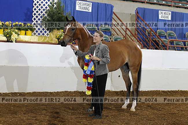 Proof 11r12_0074