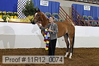 11r12_0074 proof