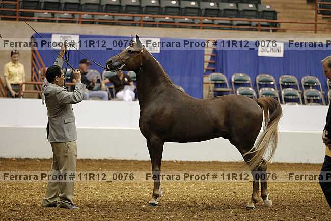 Proof 11r12_0076