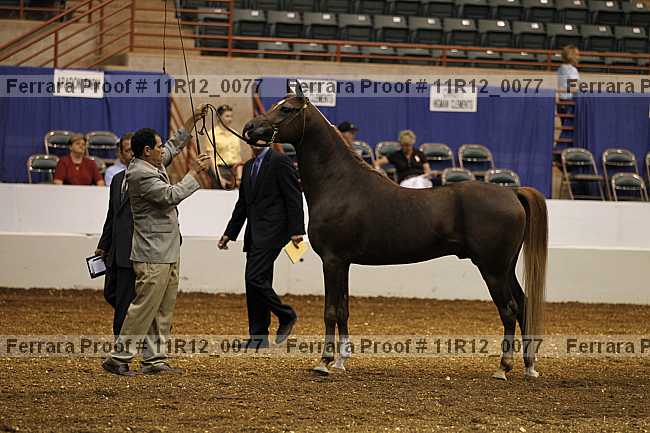 Proof 11r12_0077