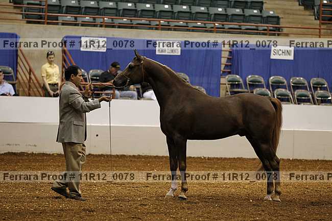 Proof 11r12_0078