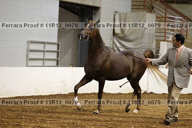 Proof 11r12_0079