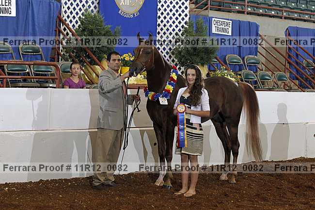 Proof 11r12_0082