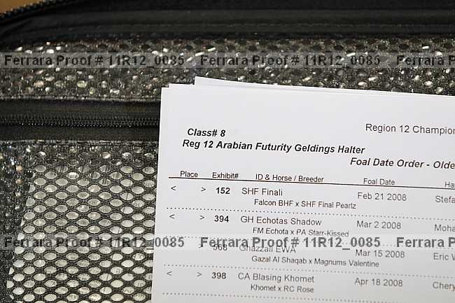 Proof 11r12_0085