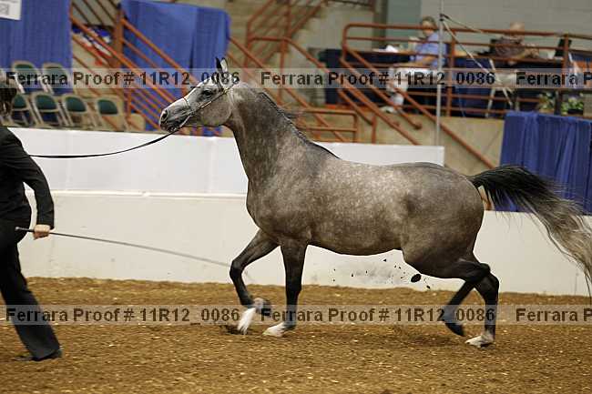 Proof 11r12_0086