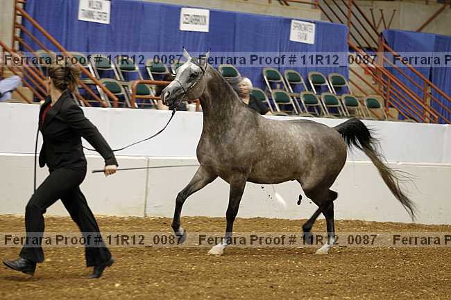 Proof 11r12_0087