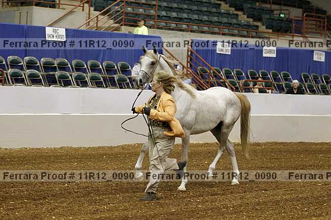 Proof 11r12_0090