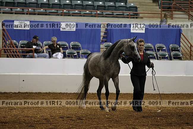 Proof 11r12_0091