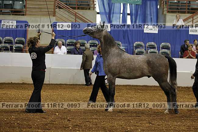 Proof 11r12_0093