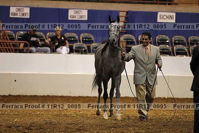 Proof 11r12_0095