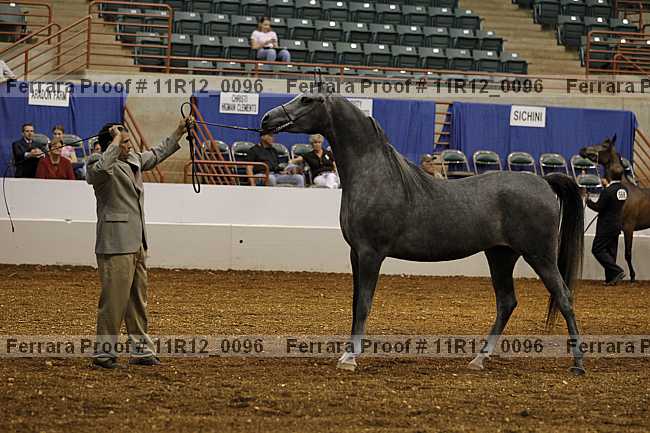 Proof 11r12_0096