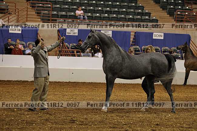 Proof 11r12_0097