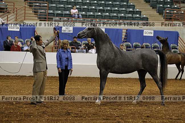 Proof 11r12_0098