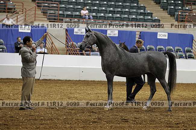 Proof 11r12_0099