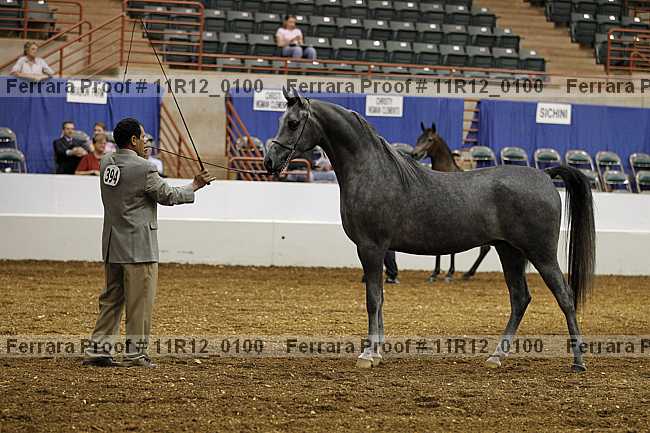 Proof 11r12_0100