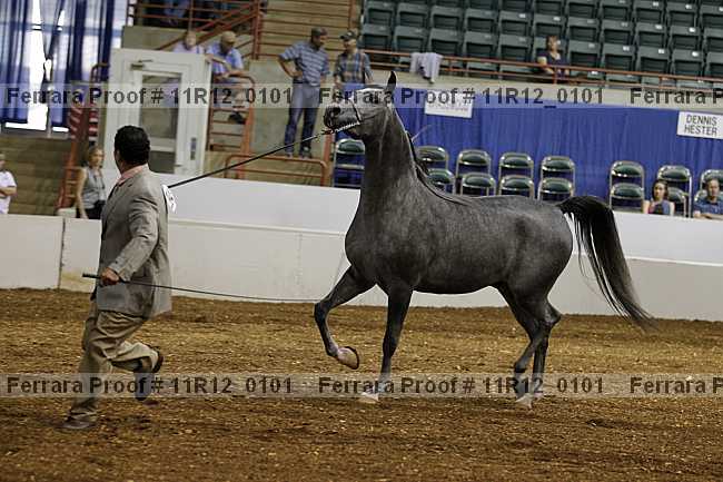 Proof 11r12_0101