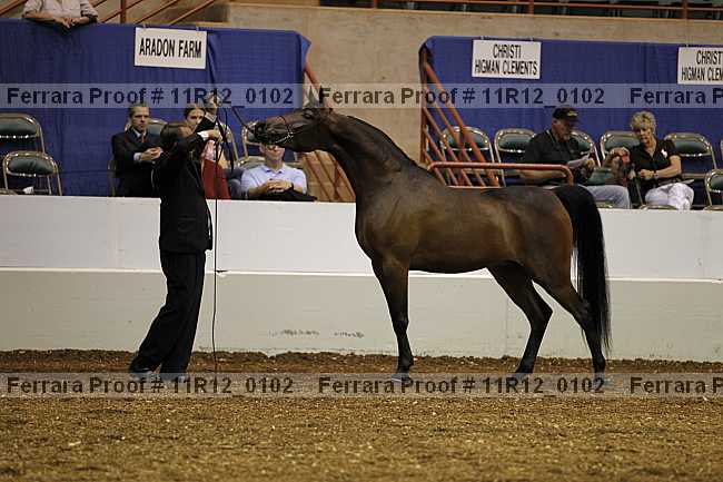 Proof 11r12_0102