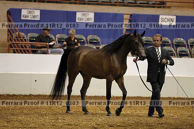 Proof 11r12_0103