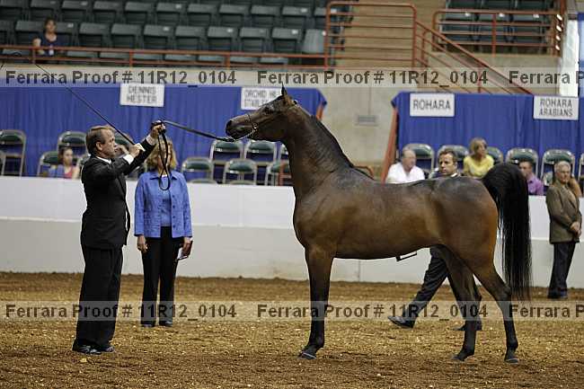 Proof 11r12_0104