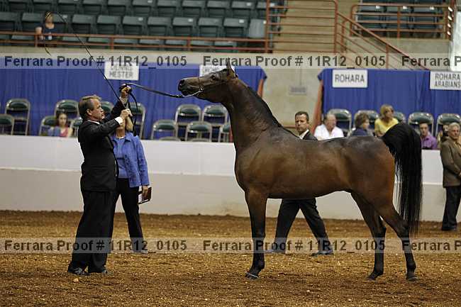 Proof 11r12_0105