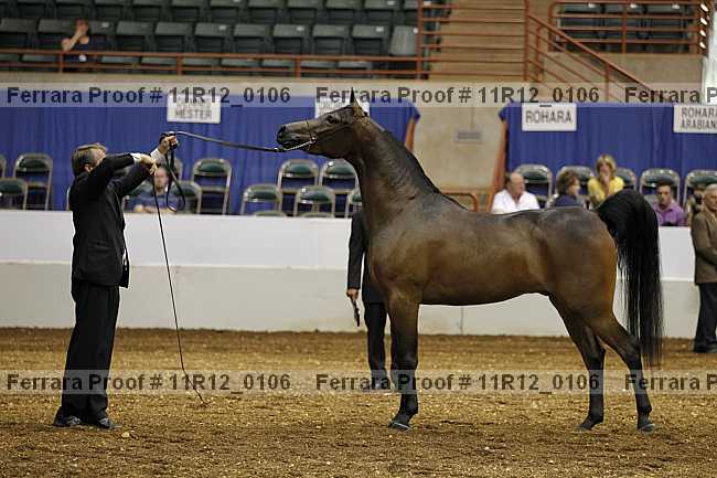 Proof 11r12_0106