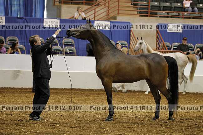 Proof 11r12_0107