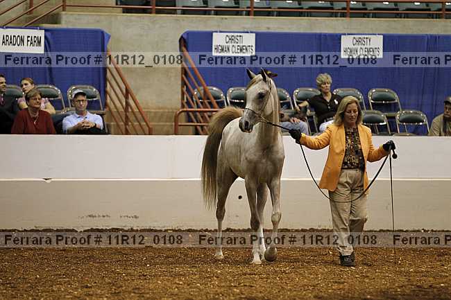 Proof 11r12_0108