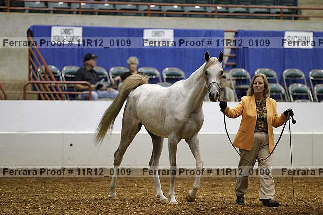 Proof 11r12_0109