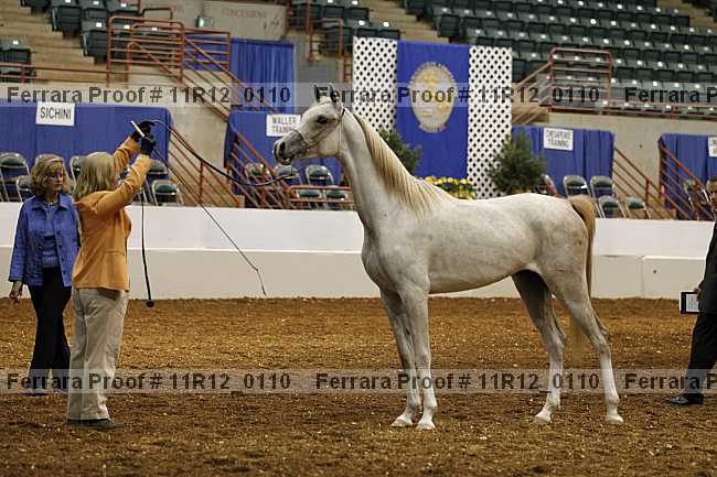 Proof 11r12_0110