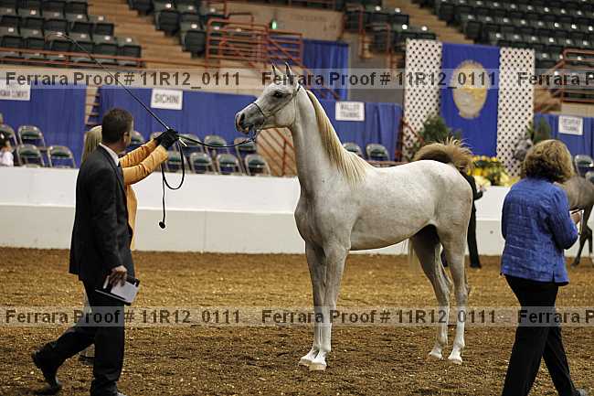 Proof 11r12_0111