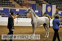 11r12_0111 proof