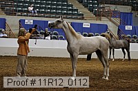 11r12_0112 proof