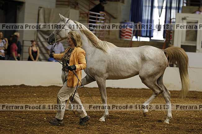 Proof 11r12_0113