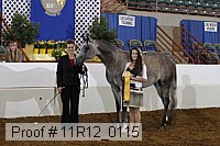 11r12_0115 proof