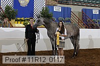 11r12_0117 proof