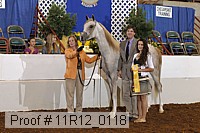 11r12_0118 proof