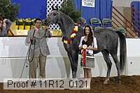 11r12_0121 proof