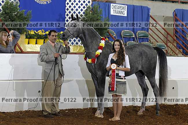 Proof 11r12_0122