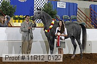 11r12_0122 proof