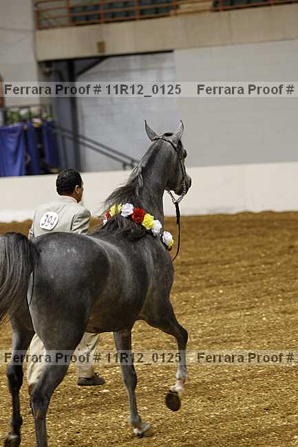 Proof 11r12_0125