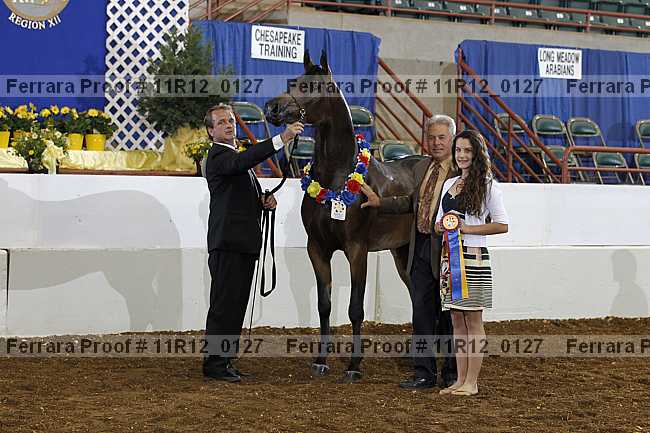Proof 11r12_0127
