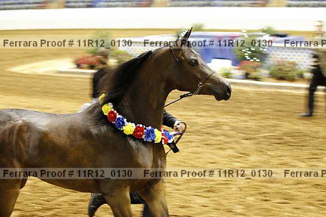 Proof 11r12_0130