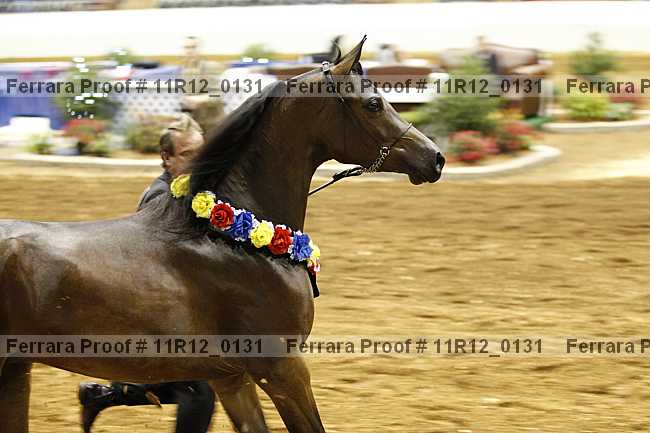 Proof 11r12_0131