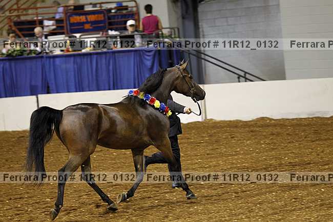 Proof 11r12_0132