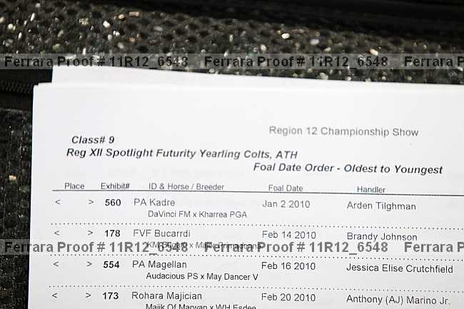 Proof 11r12_6548